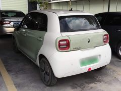 ORA Black Cat Facelift 301km Pet-Lover Edition LFP Battery - ფოტო 4