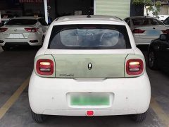 ORA Black Cat Facelift 301km Pet-Lover Edition LFP Battery - ფოტო 5