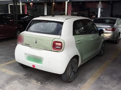 ORA Black Cat Facelift 301km Pet-Lover Edition LFP Battery - ფოტო 6
