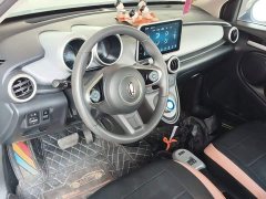 ORA Black Cat Facelift 301km Pet-Lover Edition LFP Battery - ფოტო 9