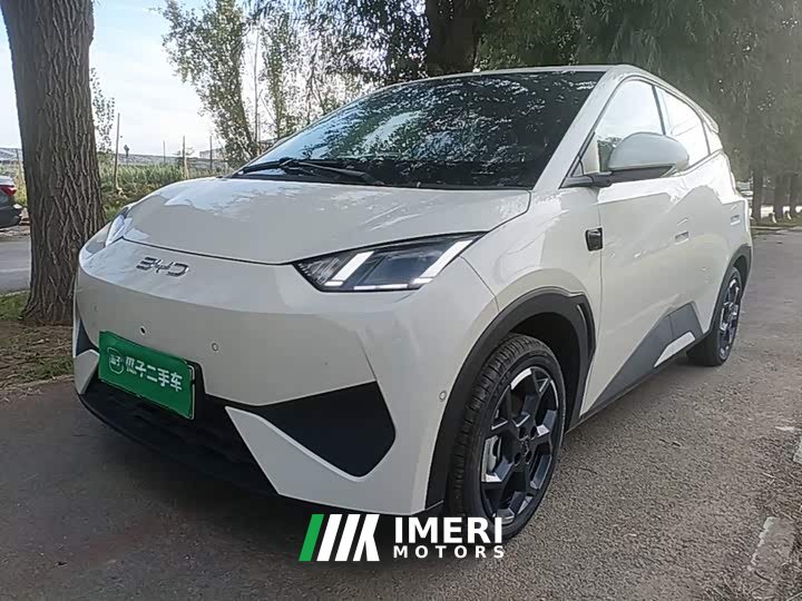 BYD Seagull 2025 Smart Driving Edition 305km Freedom Edition - ავტომობილი ჩინეთიდან