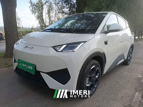 2026 BYD Seagull Smart Driving Edition 305km Freedom Edition