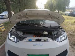 BYD Seagull 2025 Smart Driving Edition 305km Freedom Edition - ფოტო 19