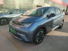 BYD Dolphin 420km Freedom Edition - ფოტო 1