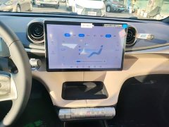 BYD Dolphin 420km Freedom Edition - ფოტო 12