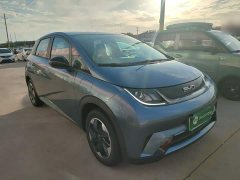 BYD Dolphin 420km Freedom Edition - ფოტო 3