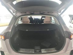 Lynk & Co 06 1.5T Shero Pink Special Edition - photo 18