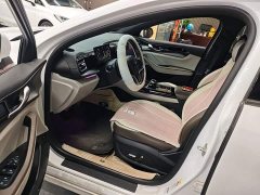BYD Qin PLUS Glory Edition EV 510KM Excellence - photo 15