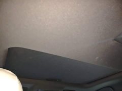 BYD Qin PLUS Glory Edition EV 510KM Excellence - photo 17