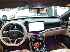 BYD Qin PLUS Glory Edition EV 510KM Excellence - photo 9