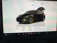 Tesla Model Y Rear-Wheel Drive - ფოტო 12