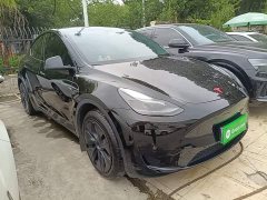 Tesla Model Y Rear-Wheel Drive - ფოტო 3