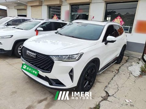 2021 Haval H6 Third Generation 2.0T Automatic AWD Supreme - ავტომობილი ჩინეთიდან