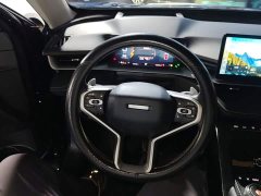 Haval H6 2021 Third Generation 2.0T Automatic Two-Wheel Drive Max - ფოტო 10