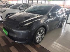 Tesla Model Y Standard Range RWD - ფოტო 1