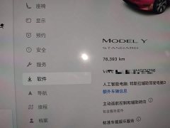 Tesla Model Y Standard Range RWD - ფოტო 11