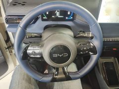 BYD Seagull 305km Freedom Edition - ფოტო 10