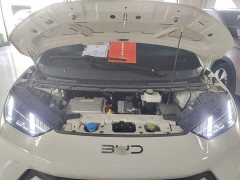 BYD Seagull 305km Freedom Edition - ფოტო 19