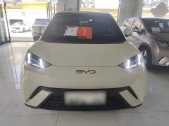 BYD Seagull 305km Freedom Edition - ფოტო 2