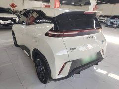 BYD Seagull 305km Freedom Edition - ფოტო 4
