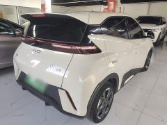 BYD Seagull 305km Freedom Edition - ფოტო 6