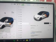 Tesla Model Y Rear-Wheel Drive - ფოტო 11