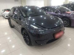 Tesla Model Y Rear-Wheel Drive - ფოტო 3
