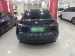 Tesla Model Y Rear-Wheel Drive - ფოტო 5