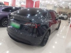 Tesla Model Y Rear-Wheel Drive - ფოტო 6