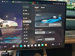 Nio Onvo L60 85kWh RWD - ფოტო 18