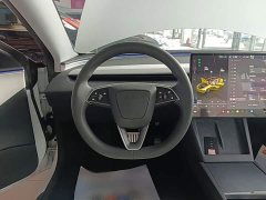Tesla Model 3 2023 Rear-Wheel Drive - ფოტო 10