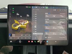 Tesla Model 3 2023 Rear-Wheel Drive - ფოტო 11