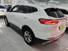 Haval H6 2021 National Trend 1.5GDIT Automatic Champion Edition - ფოტო 4