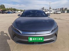 BYD Han EV Standard Range Luxury - фото 2