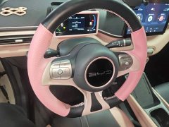 BYD Seagull Freedom Edition - ფოტო 10