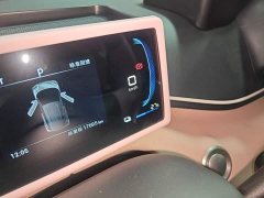 BYD Seagull Freedom Edition - ფოტო 11