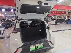 BYD Seagull Freedom Edition - ფოტო 18