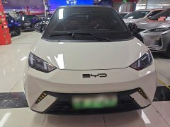 BYD Seagull Freedom Edition - ფოტო 2