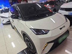 BYD Seagull Freedom Edition - ფოტო 3