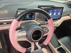 BYD Seagull Freedom Edition - ფოტო 9