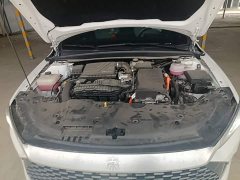 BYD Qin PLUS Glory Edition DM-i 55KM Leading - ფოტო 19