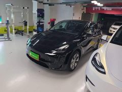 Tesla Model Y 2022 Rear-Wheel Drive - ფოტო 1