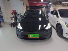 Tesla Model Y 2022 Rear-Wheel Drive - ფოტო 2