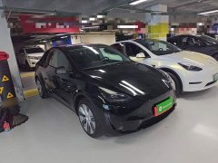 Tesla Model Y 2022 Rear-Wheel Drive - ფოტო 3