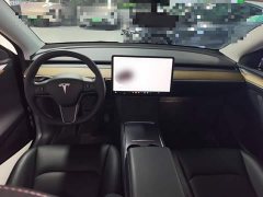 Tesla Model Y 2022 Rear-Wheel Drive - ფოტო 9
