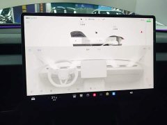 Tesla Model 3 2023 Rear-Wheel Drive - ფოტო 12