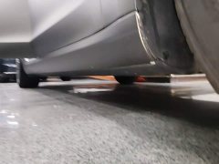 Tesla Model 3 2023 Rear-Wheel Drive - ფოტო 20