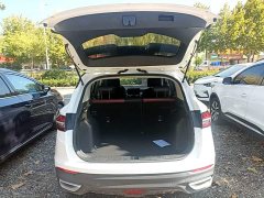 Geely Bingyue 2020 240T Manual Archer - ფოტო 18