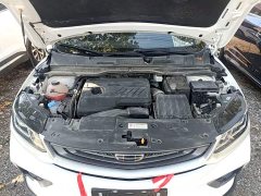 Geely Bingyue 2020 240T Manual Archer - ფოტო 19