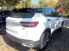 Geely Bingyue 2020 240T Manual Archer - ფოტო 6